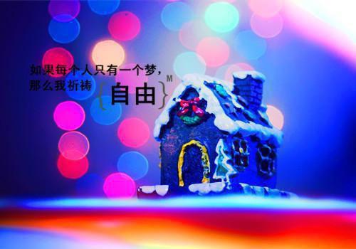 经典励志小说《我想要怒放的生命》