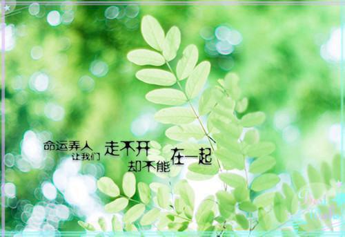 前传宋楚怡沈律之续集:全文+番外恋爱八年不结婚，我嫁人你哭什么：结局+番外新上热文