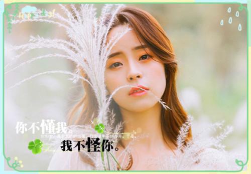 李白的诗词汇总