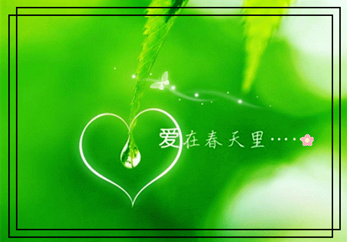 供销社职代会上的工作报告