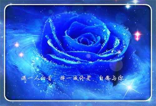 房屋委托书范本