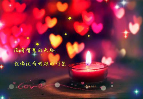 体育专业应届毕业生的自荐信