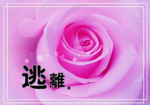 对人生感悟的句子汇总