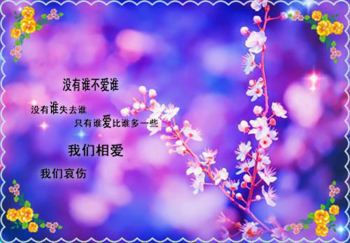 关于爱情伤感语录短句