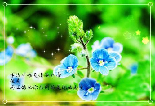 剪彩仪式嘉宾邀请函