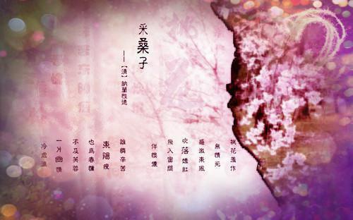 有关教师类自荐信三篇