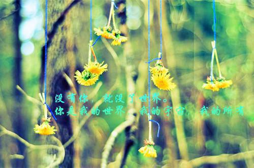 致老师的感谢信600字6篇