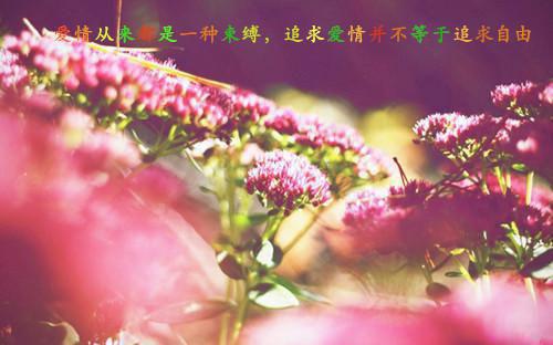 个人文体工作总结