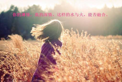 2023春节给家属慰问信