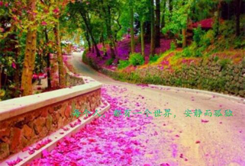 化学学院学生的自荐信范文