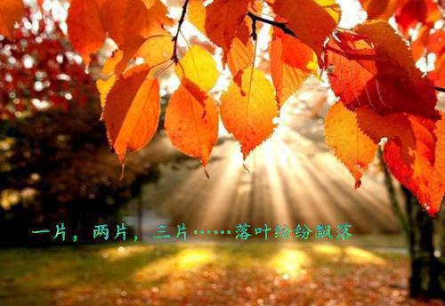 幼儿园食堂安全整顿的自查报告