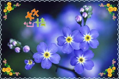 最新2023药具自查报告范文