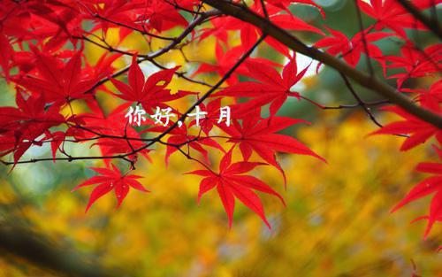 宝宝胎教说的故事