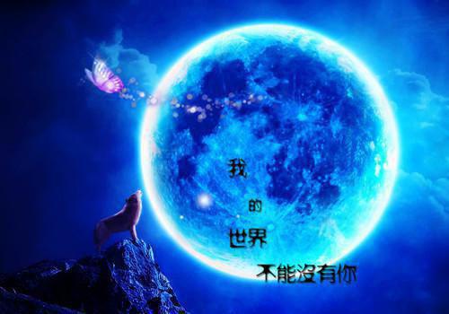 教师专业成长报告