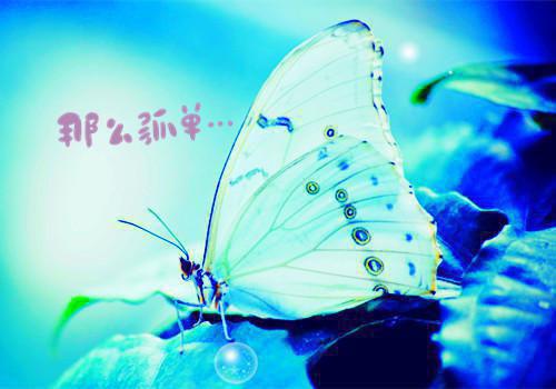婚姻关系具结书