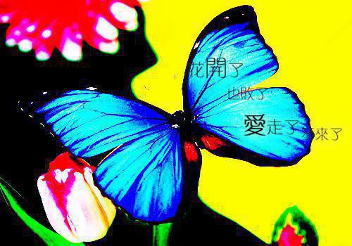 关于建筑专业求职自荐信锦集四篇