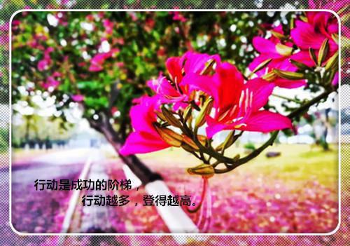 伊索寓言集锦