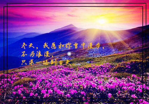 幼儿教师自查自纠报告范文2023
