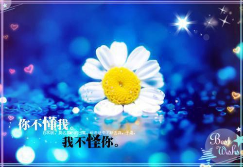 大专会计专业自荐信范例