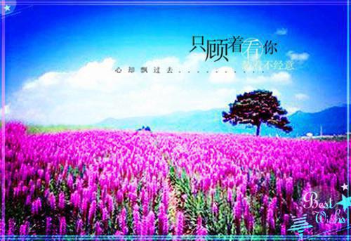 2023年义务幼儿园暑假支教社会实践报告范文