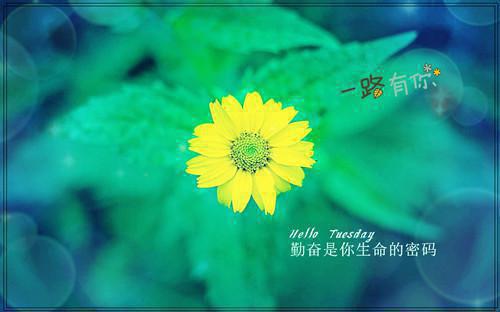 优秀保安表彰决定范文3篇