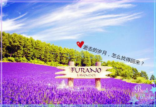 小学教师师德师风个人自查报告
