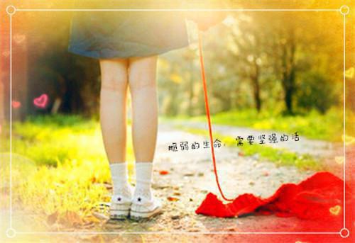 电子信息工程专业自荐信样板