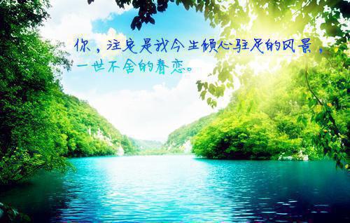 事业单位财务自查报告范文
