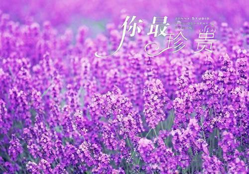 精美的人生感悟句子
