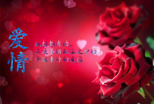 2023年上半年民办学校年检自查报告范文