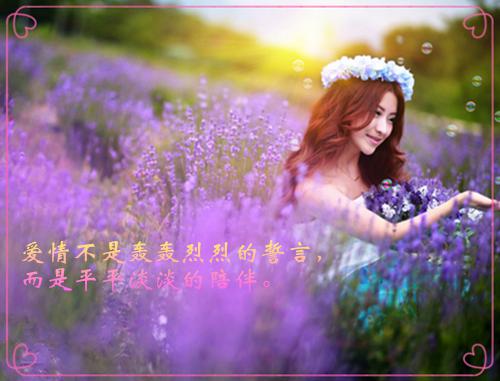 英文版电网求职信范文三篇