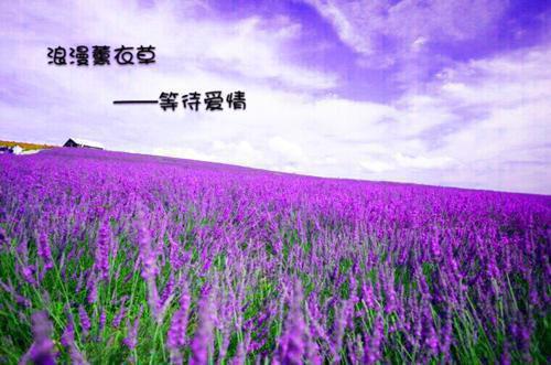 工作自荐信范文4篇