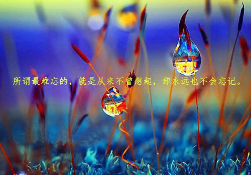 关于防溺水的小故事