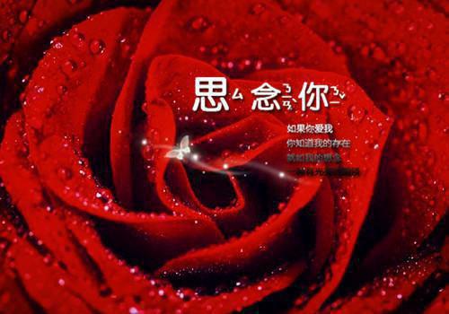 乡镇精神文明自查报告范文