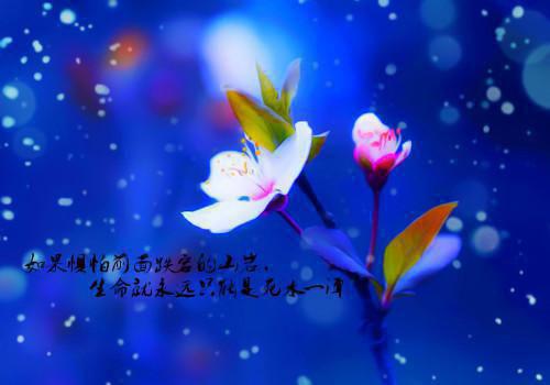 同学聚会邀请函3篇