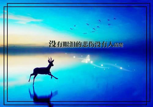 2023年抗战胜利70周年暑期社会实践报告