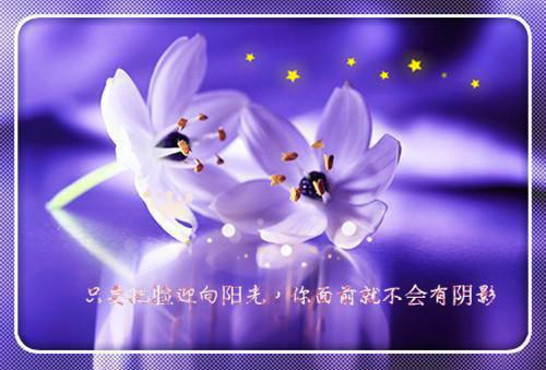 会计专业实习总结范文