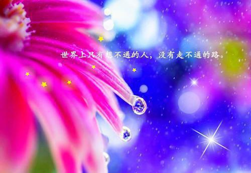国贸毕业求职信模板