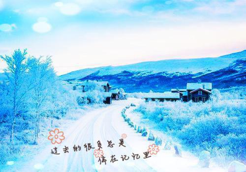 给领导和同事的道歉信