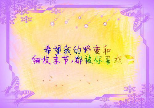 2023年大学生社区服务寒假社会实践报告