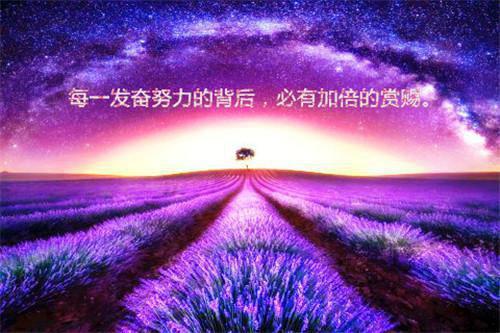 食品营养与检测专业毕业生求职信模板