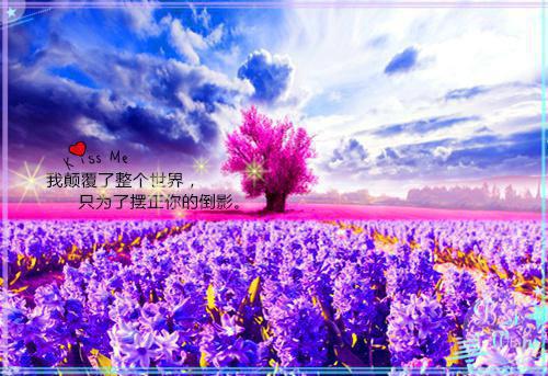 社区两节慰问信息