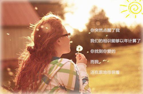 实践报告格式字体要求