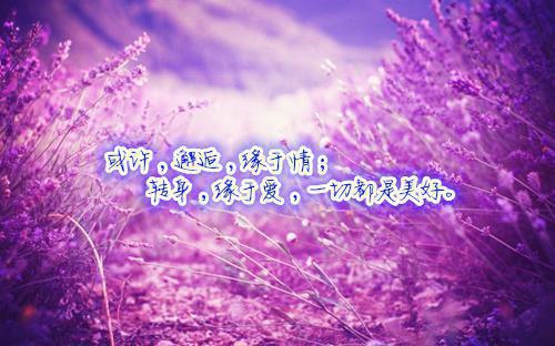小学师德师风自查报告4篇