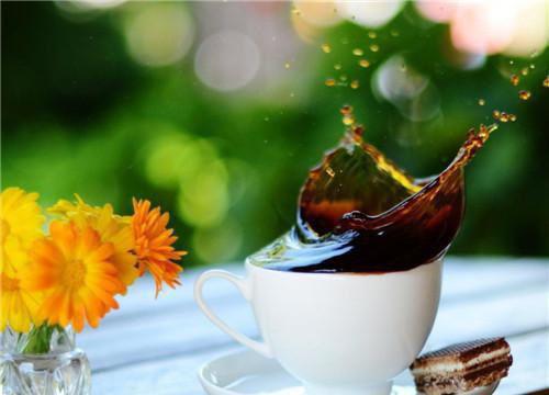 装修致歉信最新精选五篇范文