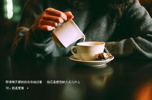 高中膳食管理委员会11月工作报告范文
