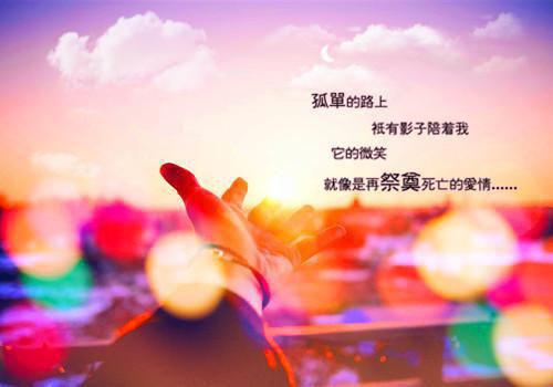 电力设施保护工作报告