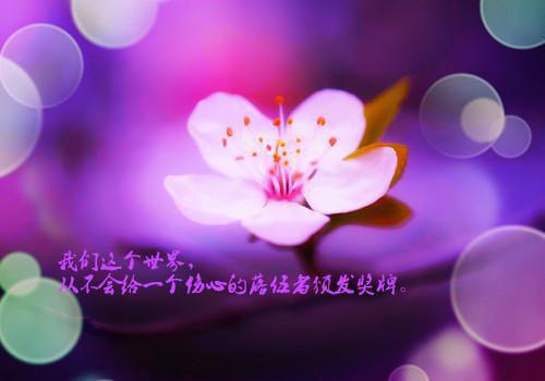 傅云朗叶然结局+番外（叶然傅云朗）全文免费阅读无弹窗大结局_傅云朗叶然结局+番外完整版最新全章节