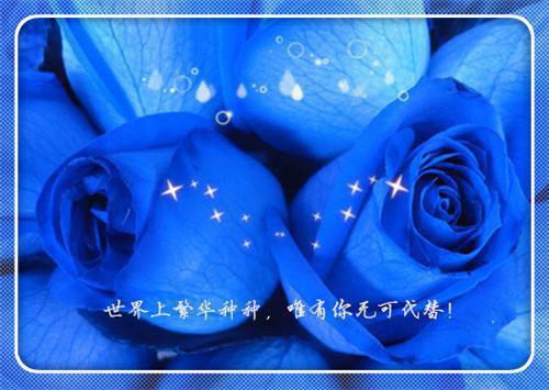 县城管理联合执法大队工作报告
