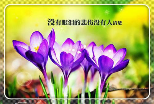 大学生暑假社会实践报告范例